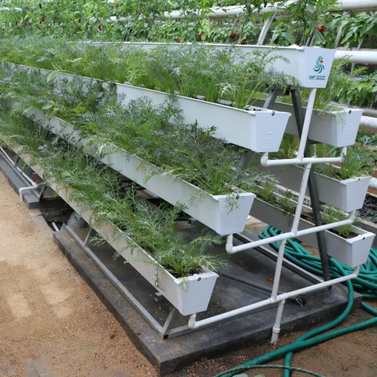 PCガラスフィルム、温室、野菜、花、垂直水耕栽培、無土壌栽培システム、積み重ね可能なポット